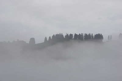 Panoramic view of trees on landscape against sky