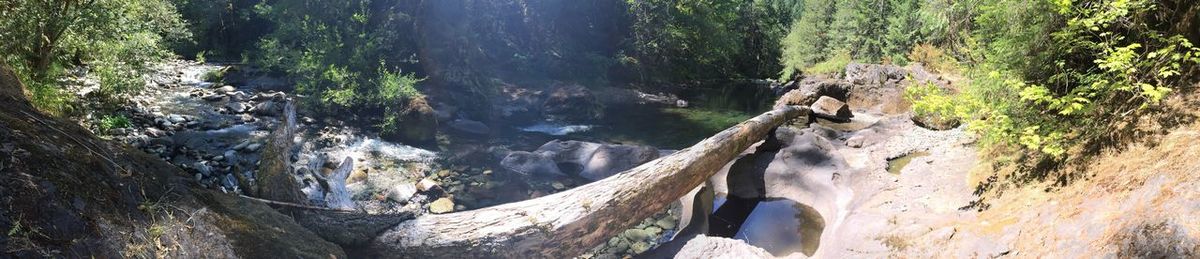 High angle view of waterfall in forest