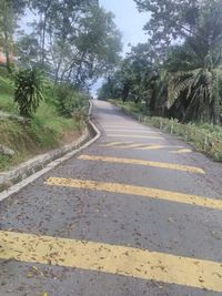 Road by trees in city