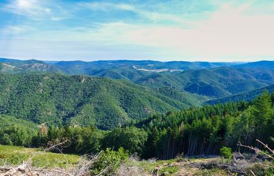 View over parc naturel haut languedoc in france on a summer day,  the perfect and very remote place 