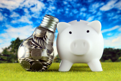 Close-up of piggy bank on field