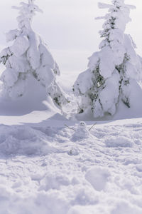 Close-up of snow covered field against sky