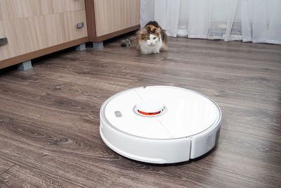 A white vacuum cleaner robot and a fluffy cat on a laminated wooden floor. 