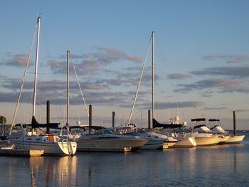 Boats in harbor