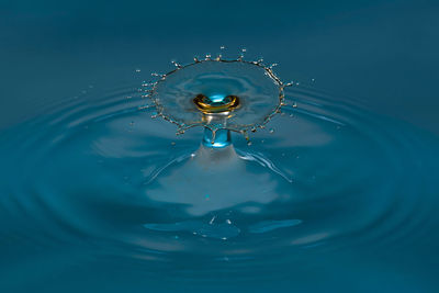 Close-up of water drop