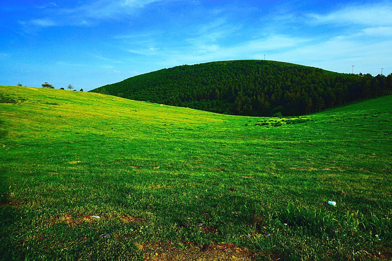 Çenedağı