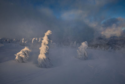 Snow covered landscape against sky