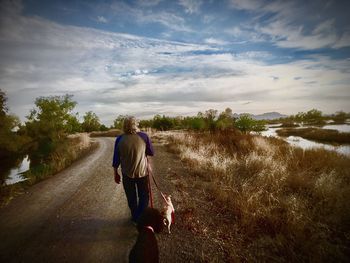 Rear view of man walking with dogs on road against cloudy sky