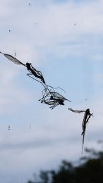 View of birds flying against the sky