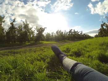 Scenic view of grassy field against sky