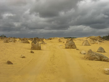 The pinnacles formations in nambung national park, western australia