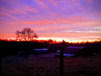 Silhouette trees on field against sky during sunset