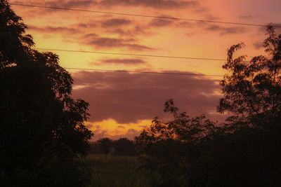 Low angle view of silhouette trees against romantic sky