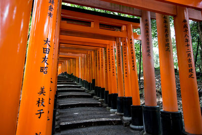 Steps amidst torii gates at fushimi inari shrine