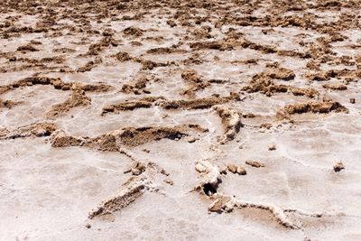 High angle view of footprints on sand at beach