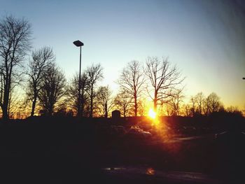 Silhouette of trees at sunset