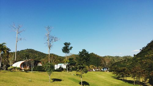 Scenic view of grassy field against blue sky