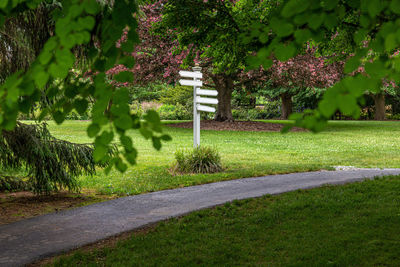 View of trees in park