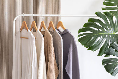 Close-up of clothes hanging on plant