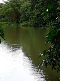 Scenic view of lake