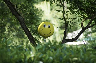 Low angle view of yellow balloon 