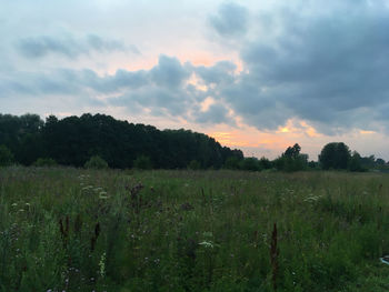 Scenic view of field against sky during sunset