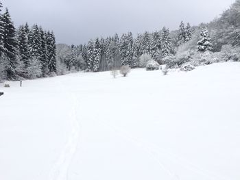 Scenic view of snow covered landscape