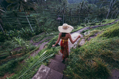 Young woman at rice terrace