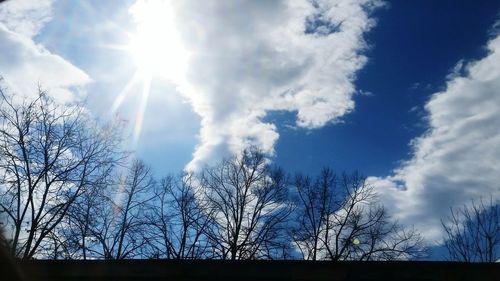 Low angle view of bare trees against sky