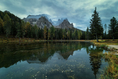 Scenic view of lake by trees against sky