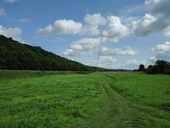 Scenic view of field against sky