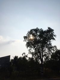 Low angle view of silhouette tree by building against sky