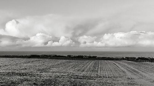 Scenic view of agricultural field against sky