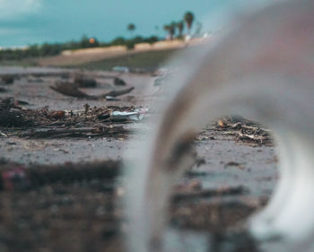 Close-up of water on beach