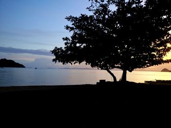 Silhouette tree by sea against sky during sunset