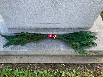 High angle view of person on concrete wall