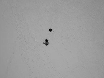 High angle view of insect on sand