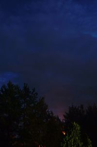 Low angle view of silhouette trees against sky