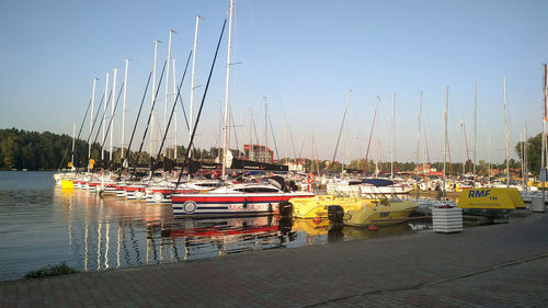 Sailboats moored at harbor