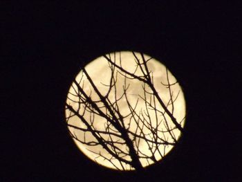circle