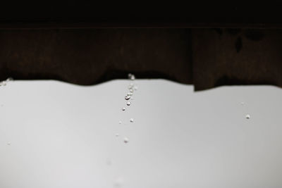Close-up of water drop