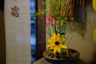 Close-up of yellow flowers