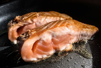 Close-up of dead fish