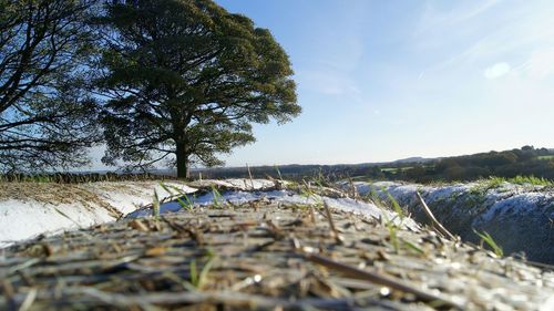 Scenic view of calm sea against sky