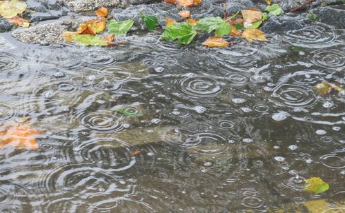 Full frame shot of rippled water