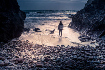 Rear view of woman with dog standing at beach against sky