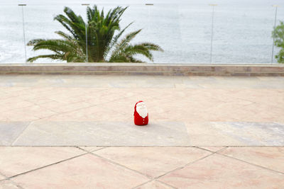 Side view of woman sitting on footpath