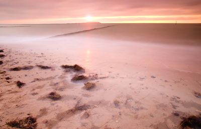 Wooden breakwater in wavy baltic sea. romantic atmosphere at smooth wavy sea. pink horizon 