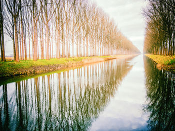 Scenic view of lake by trees against sky