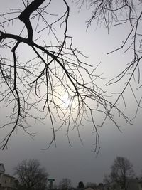 Low angle view of silhouette bare tree against sky